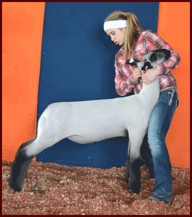 Sara Johnson 2nd at Wisconsin State Fair